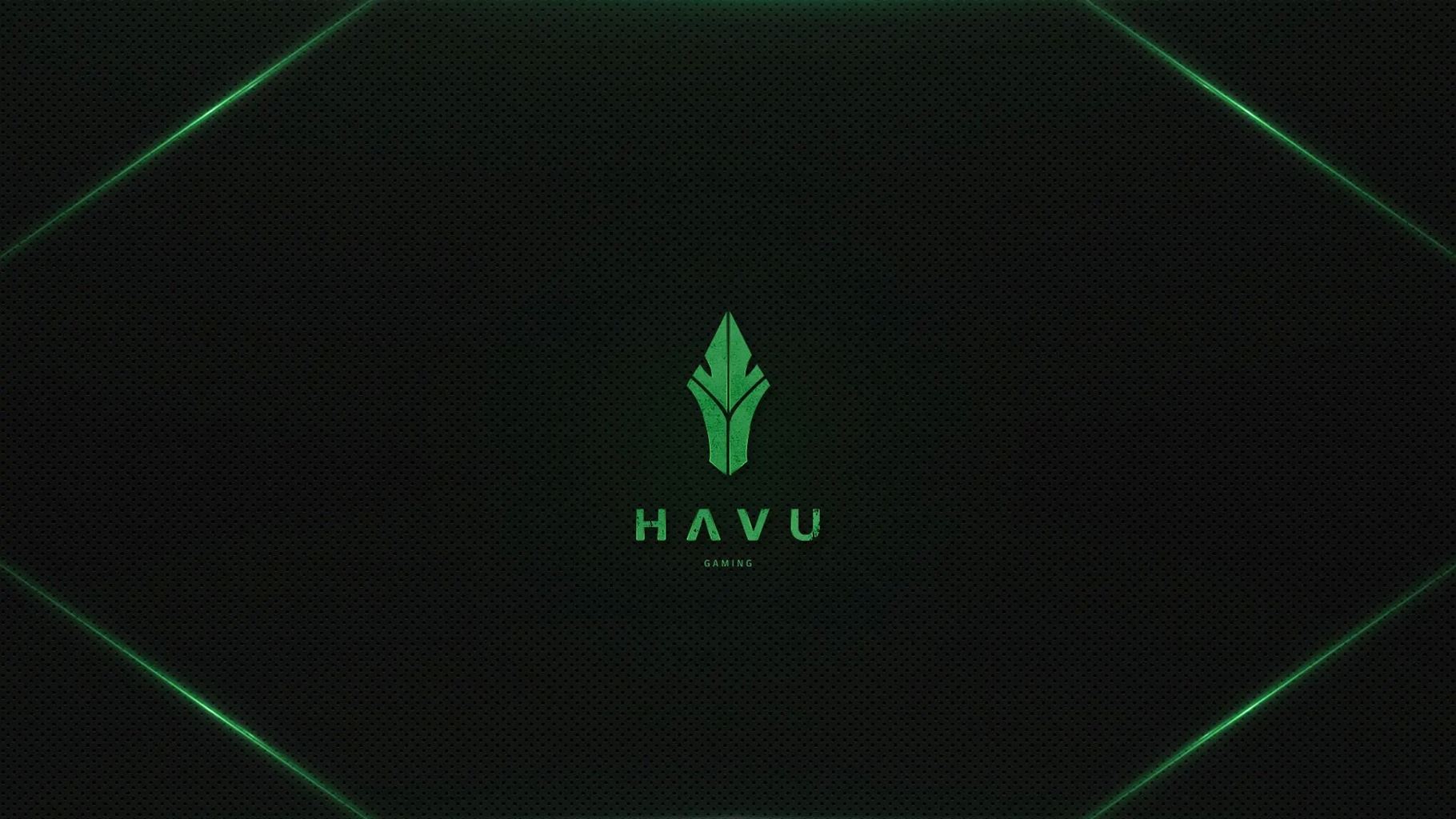 ottoNd joins sLowi on HAVU bench