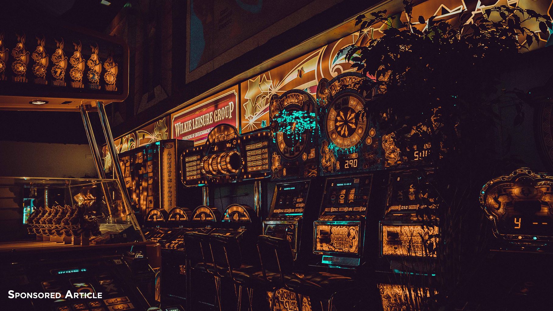 High Stakes and High Society: The Intriguing World of High Rollers