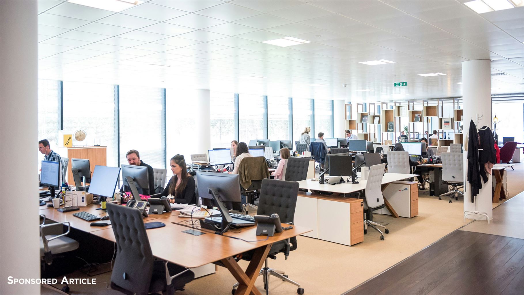 Joyful Productivity: The Impact of Positive Work Culture