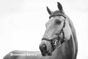 What Is The Alabama Stakes That Is Run At Saratoga Race Track?