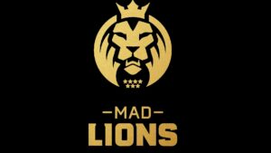 Mad Lions ready for playoffs at Flashpoint 2