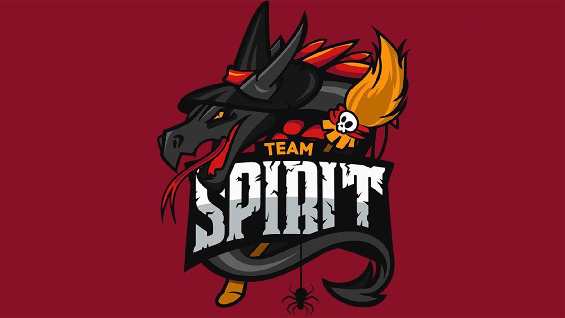 Spotlight on the Top 20: Spirit