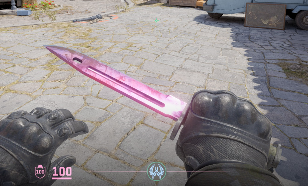 a Bayonet Doppler knife in-game