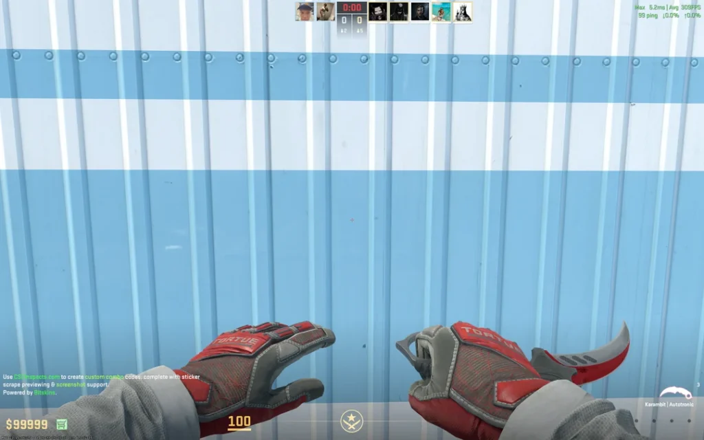 a person holding a Karambit in-game