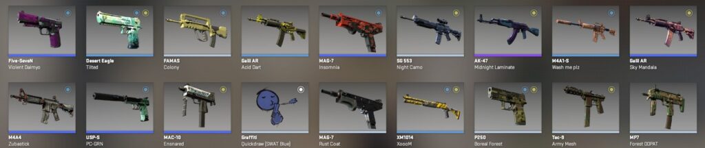 CS2 item inventory items