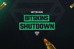 BitSkins