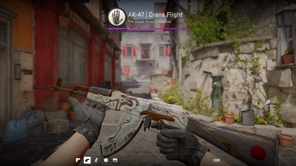 Inspecting the Crane Flight AK-47 on Inferno
