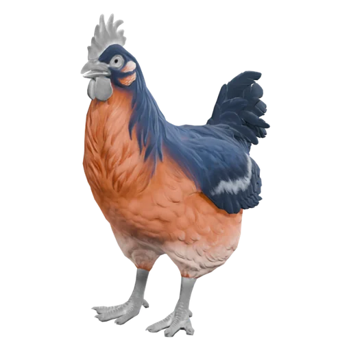 How the unannounced pet chicken system works in Counter-Strike 2 - Pley.gg How the unannounced pet chicken system works in Counter-Strike 2 - Pley.gg