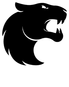 FURIA logo