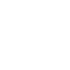 Team Envy logo