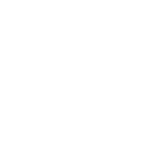 Team EnVyUs logo