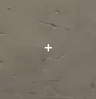 Valorant Crosshair Guide – Best Crosshairs and Codes - Pley.gg