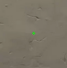Valorant Crosshair Guide – Best Crosshairs and Codes - Pley.gg
