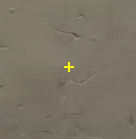 Valorant Crosshair Guide – Best Crosshairs and Codes - Pley.gg