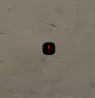 Valorant Crosshair Guide – Best Crosshairs and Codes - Pley.gg