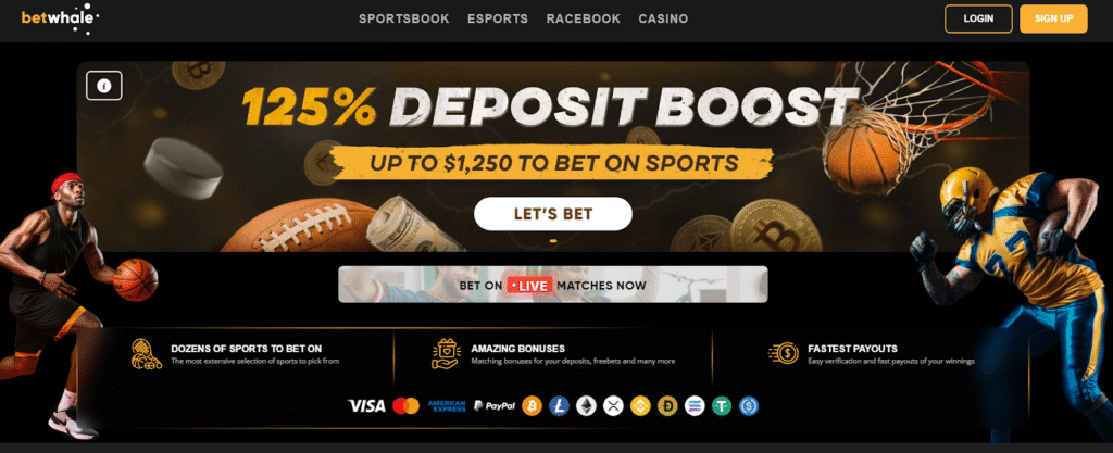 Best Online Casino: Betwhale & other Real Money Online Casinos USA Ranked by Experts (2026) - Pley.gg